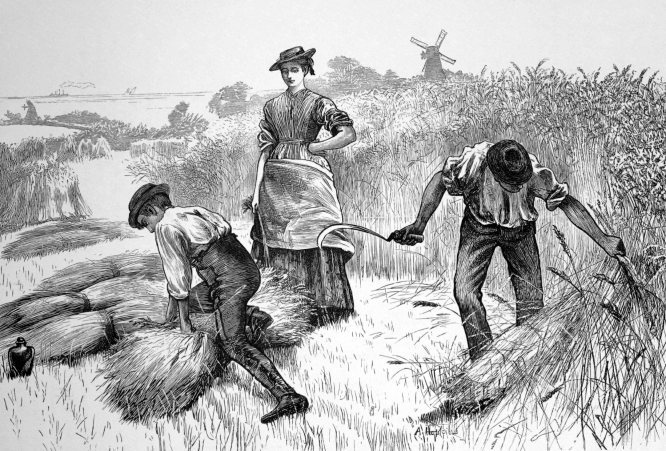 Illustration of 19th century farmers